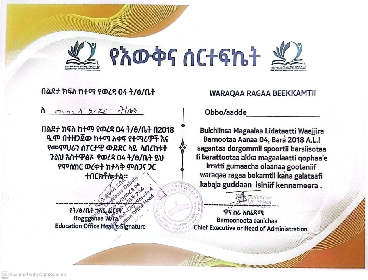 Mekanisa Abadir School Education Excellence Award certificate 3