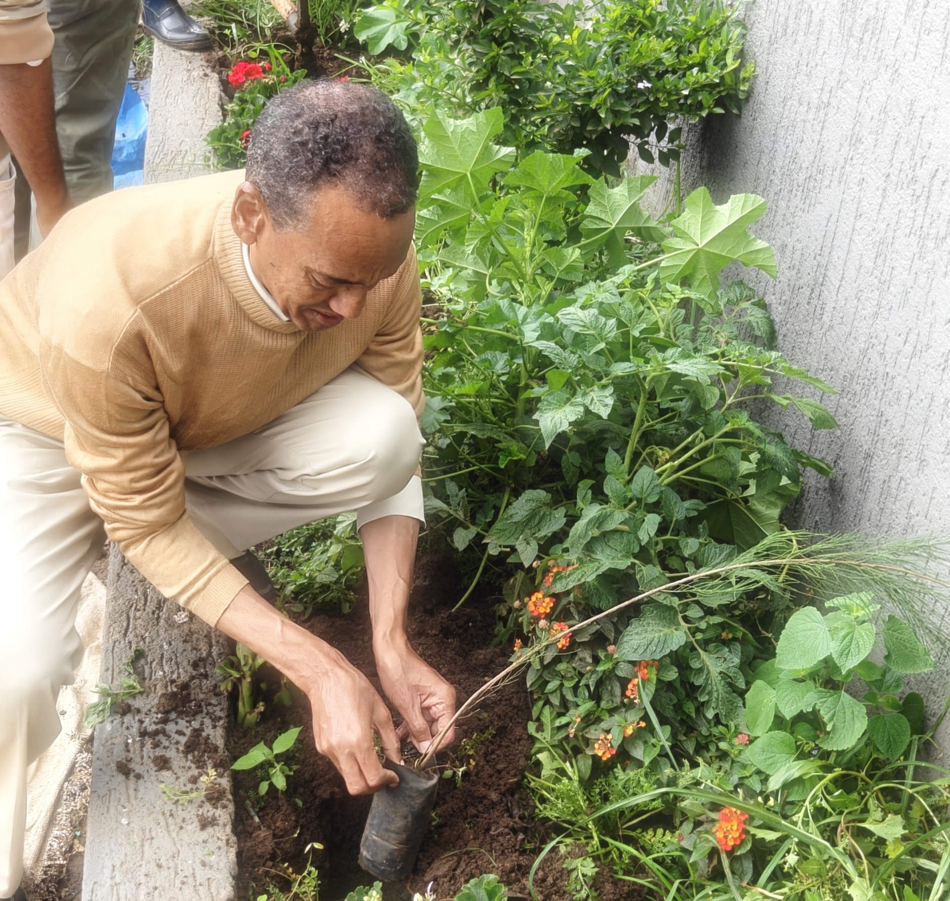 Abadir School community planting trees on campus