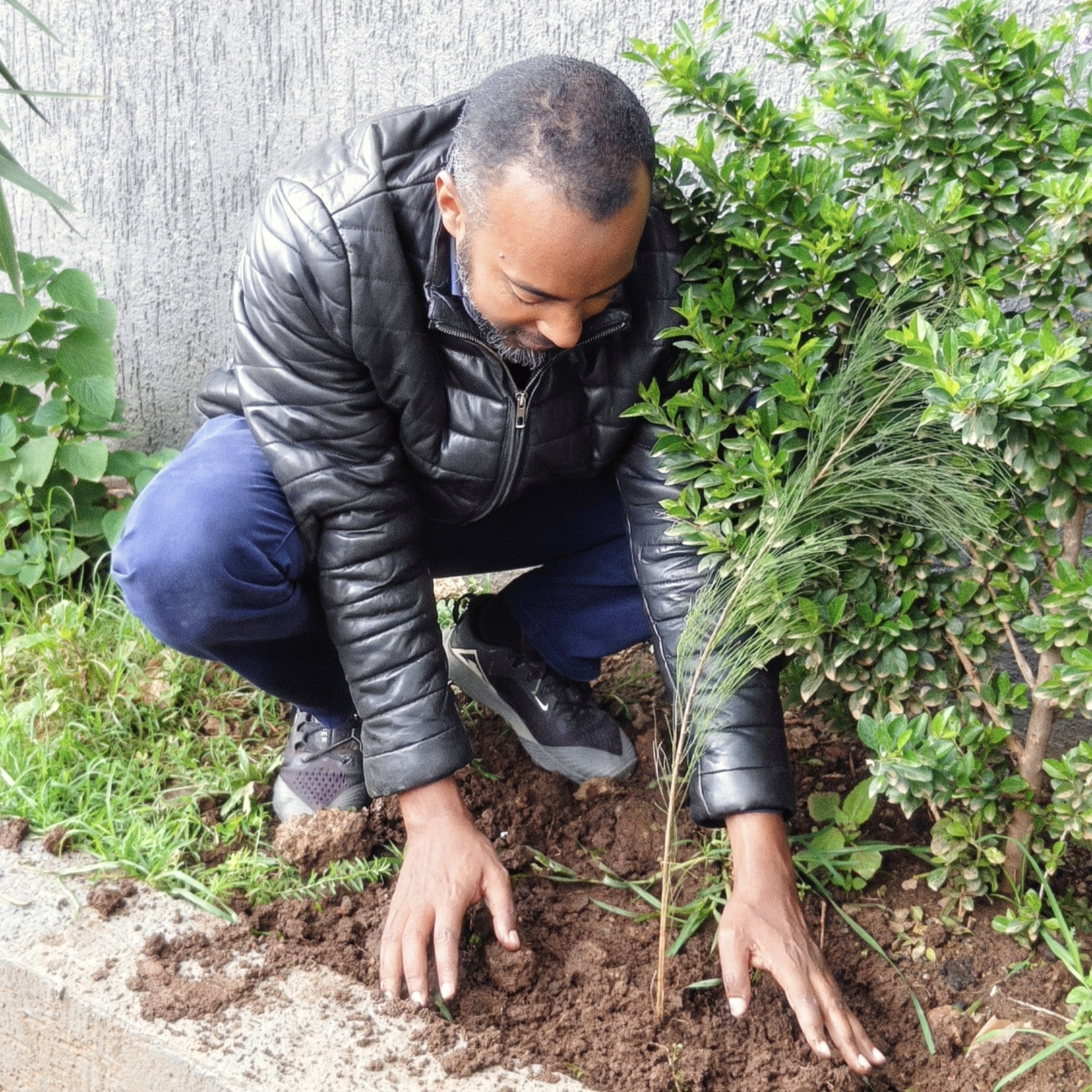 Staff planting saplings